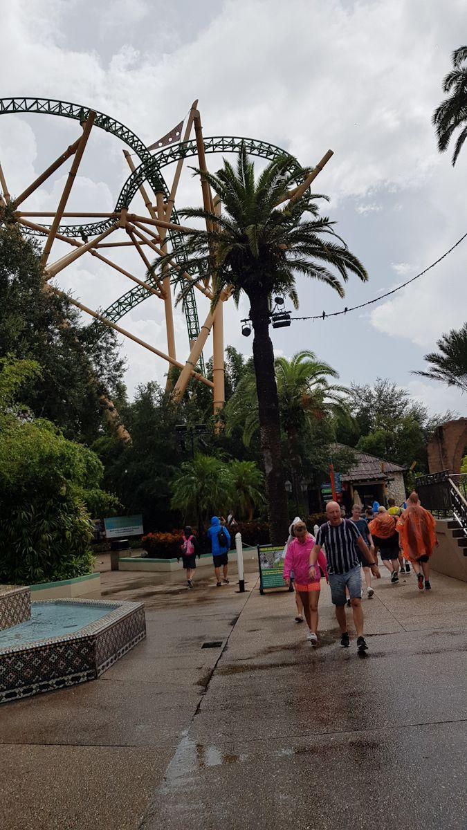 20190828_111735.jpg