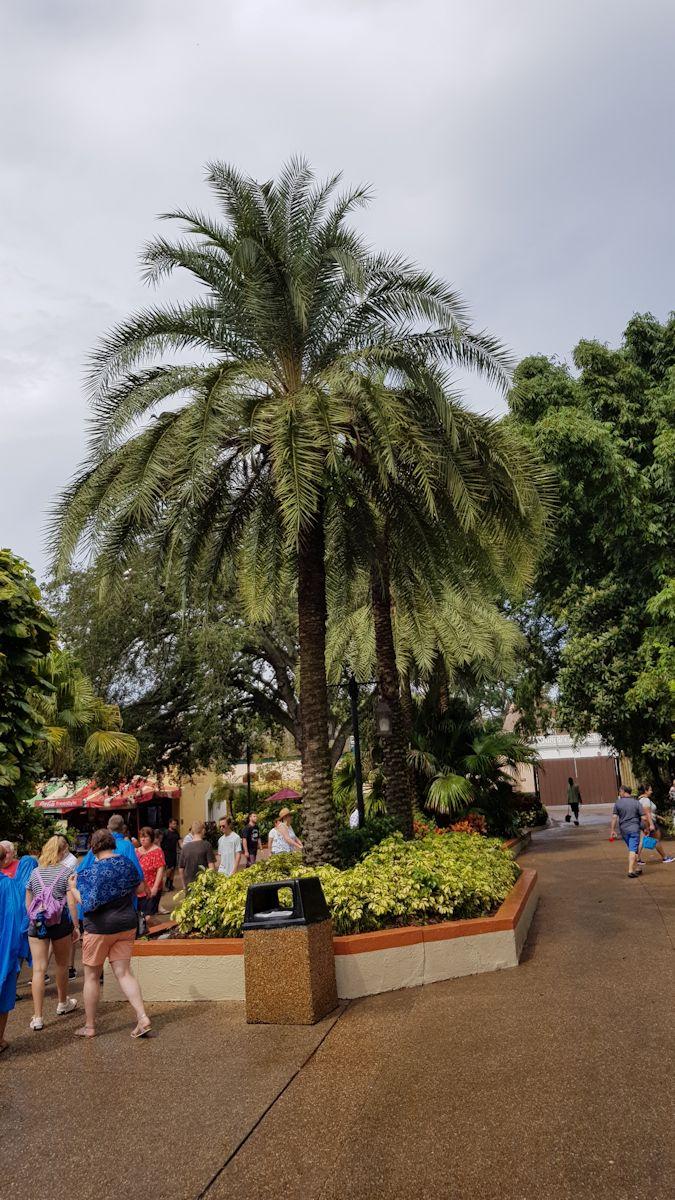 20190828_111827.jpg