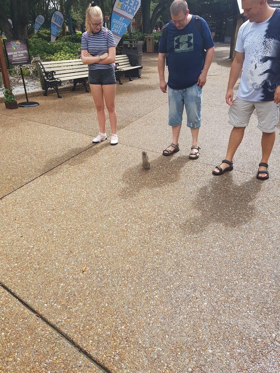 20190828_112725.jpg