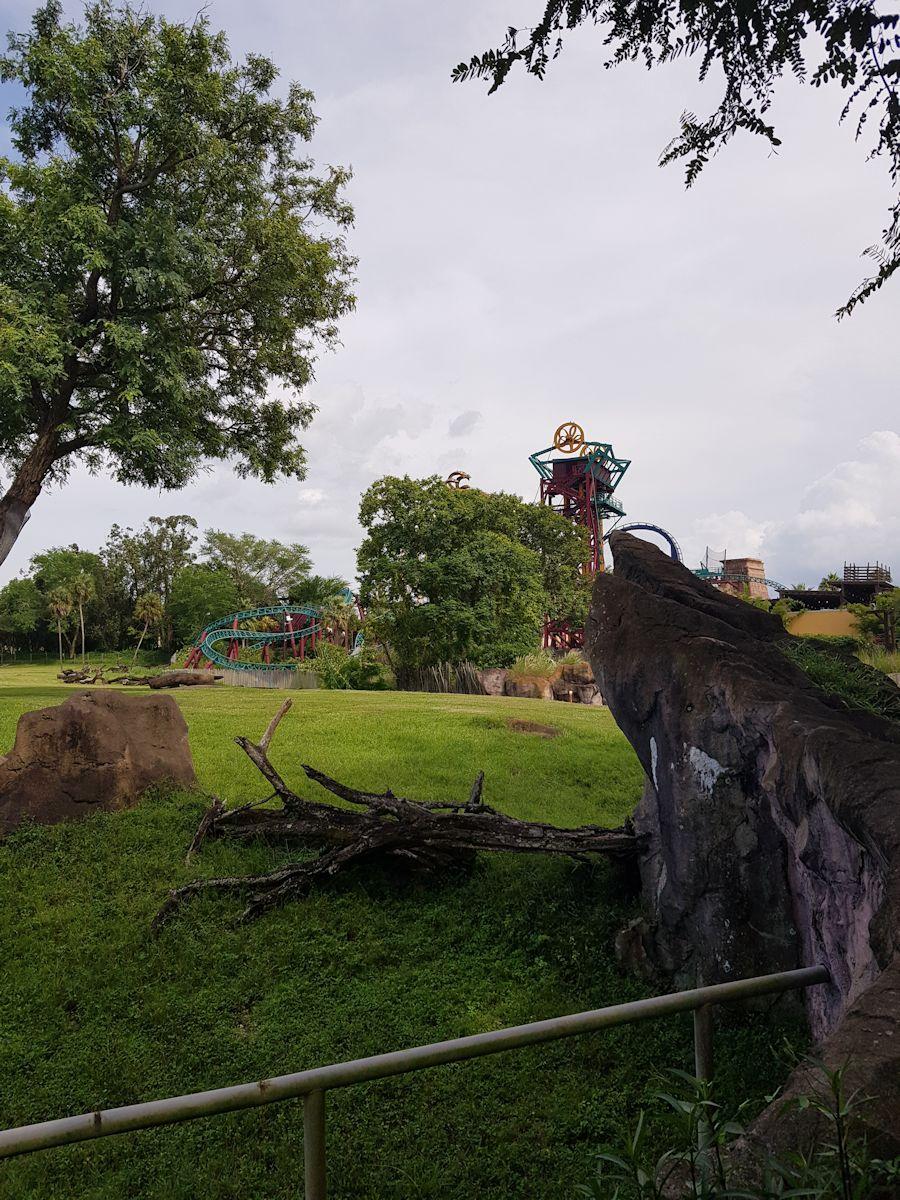 20190828_161354.jpg
