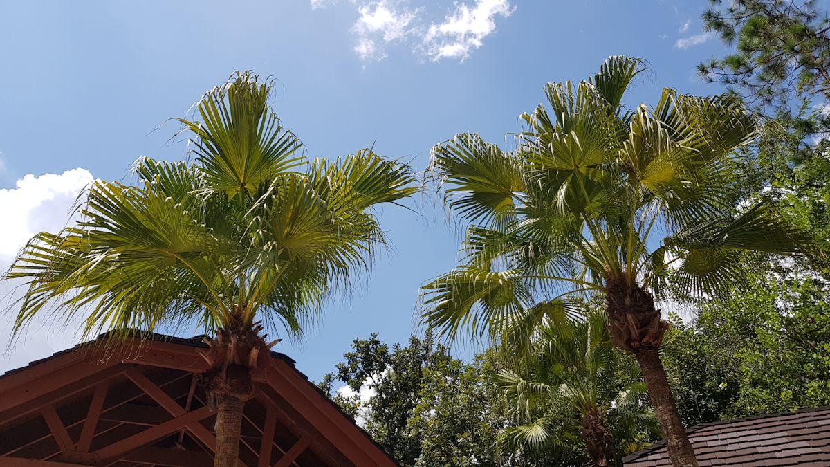 20190829_141337.jpg