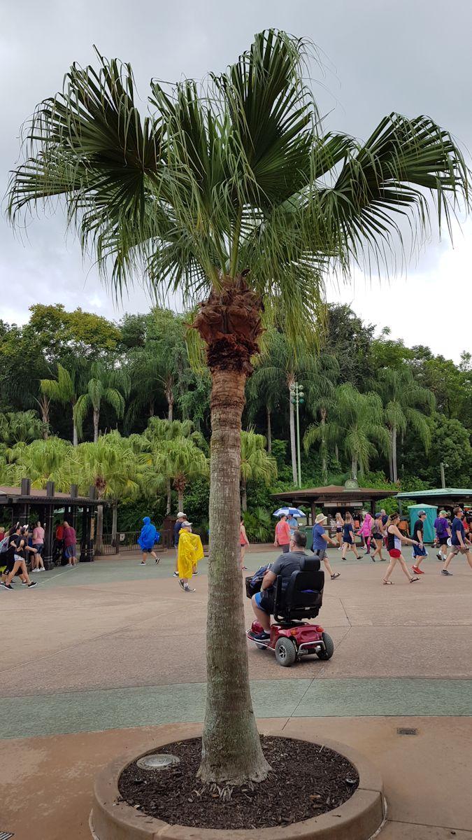 20190831_135559.jpg
