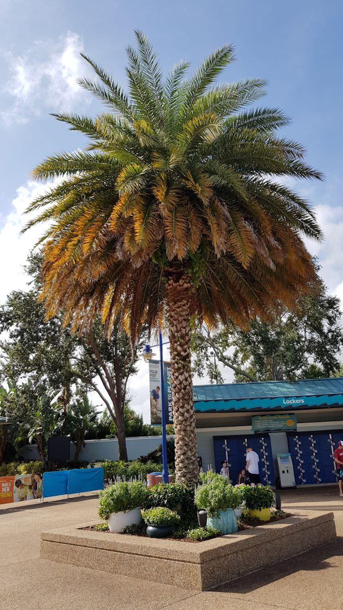 20190902_095634.jpg