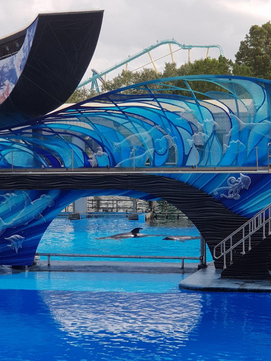 20190902_113153.jpg