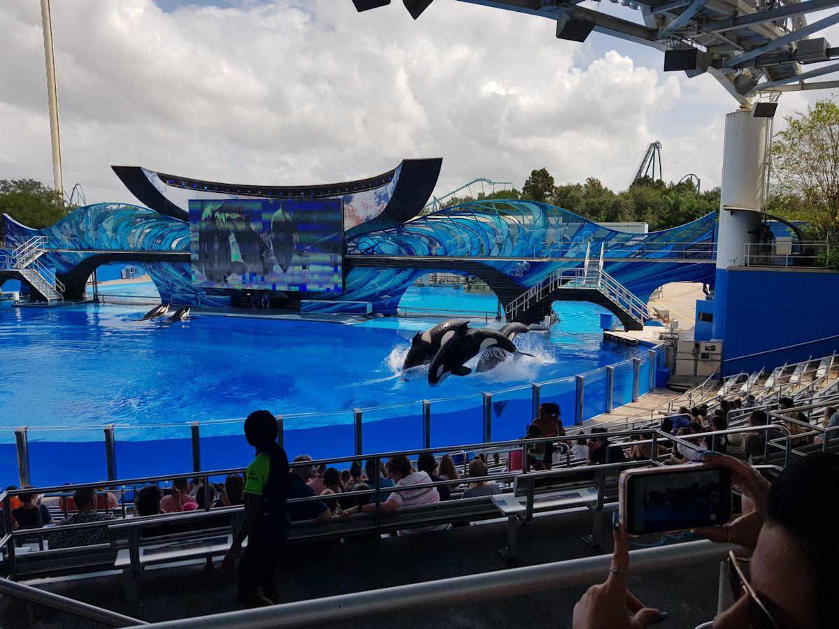 20190902_113325.jpg