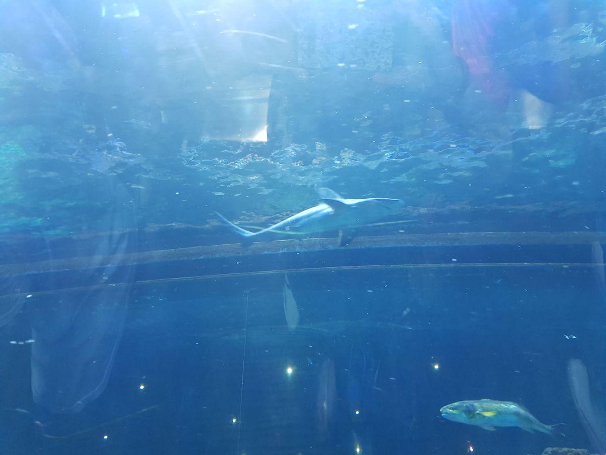 20190902_122821.jpg