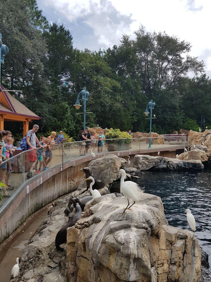 20190902_123836.jpg