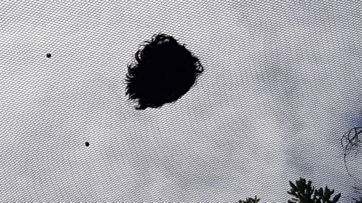 20190902_133948.jpg