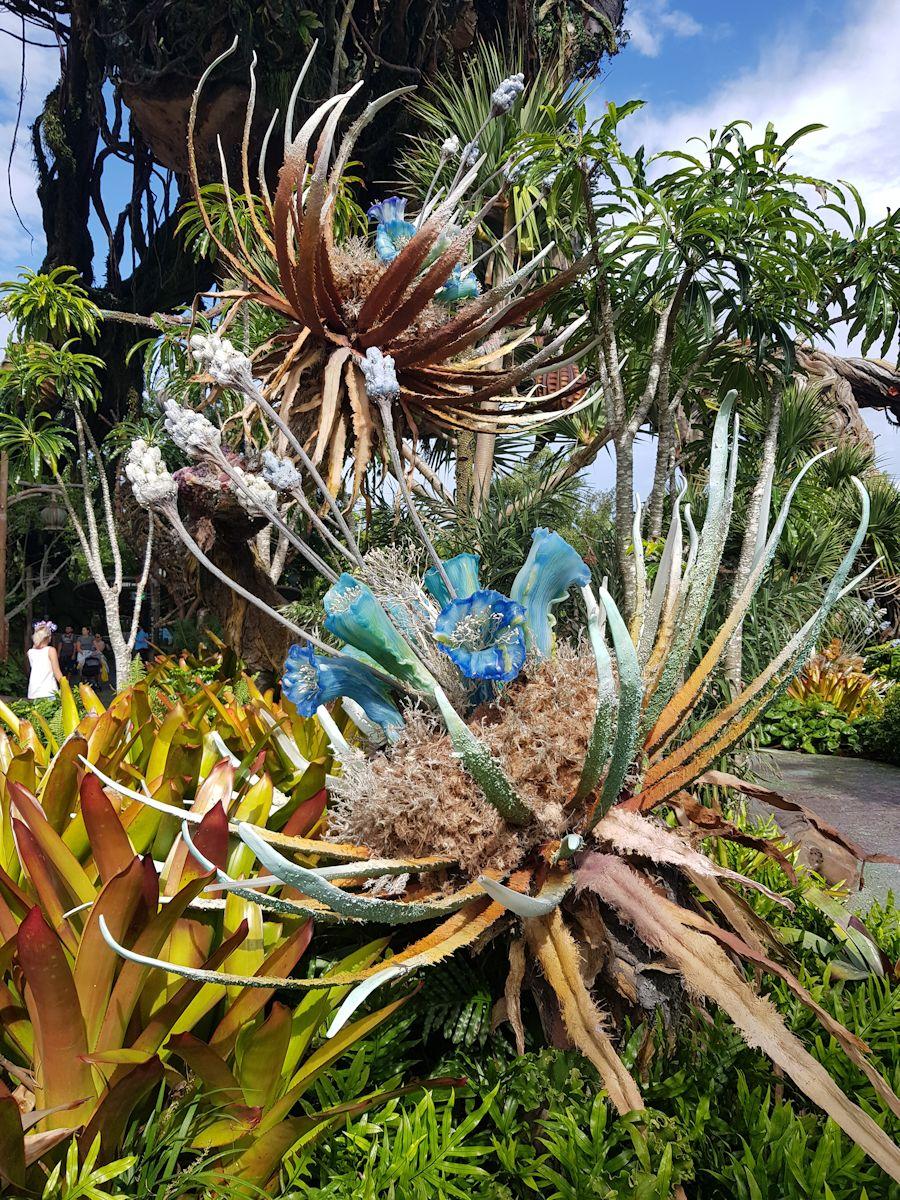 20190903_103254.jpg