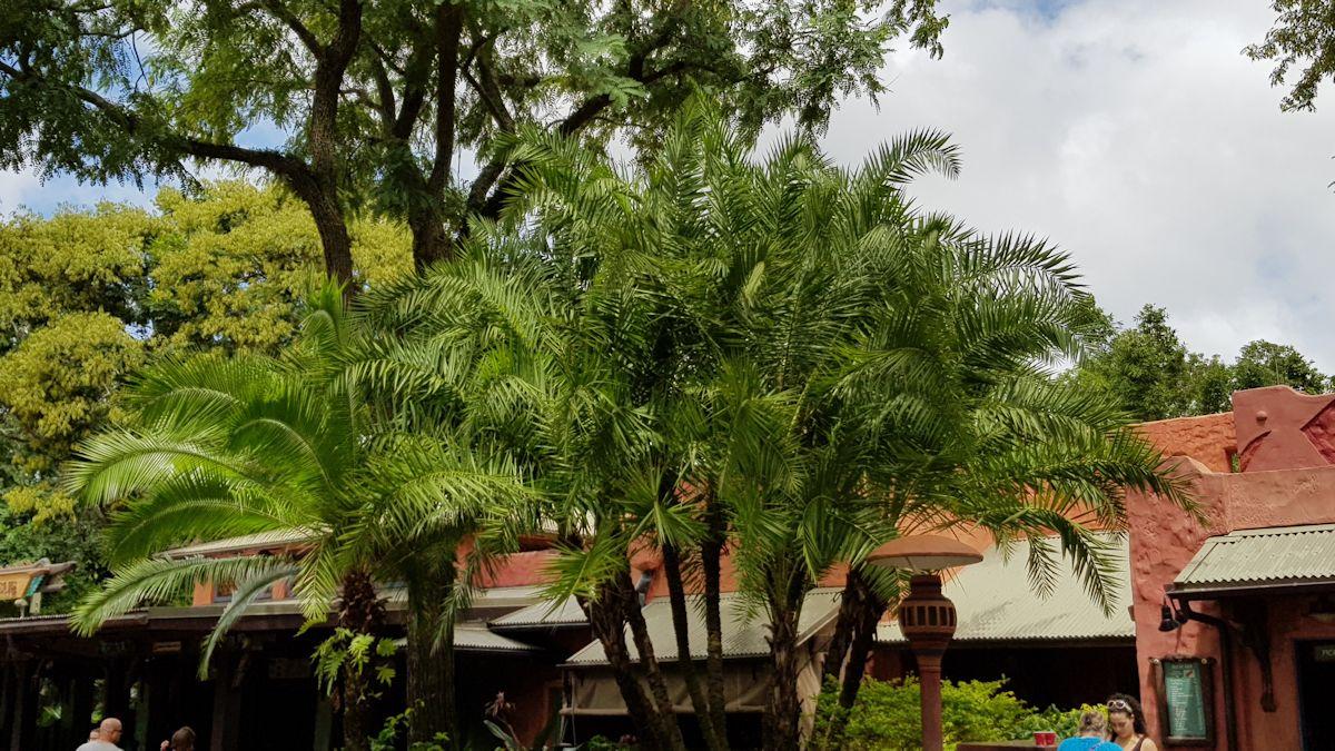 20190903_135156.jpg