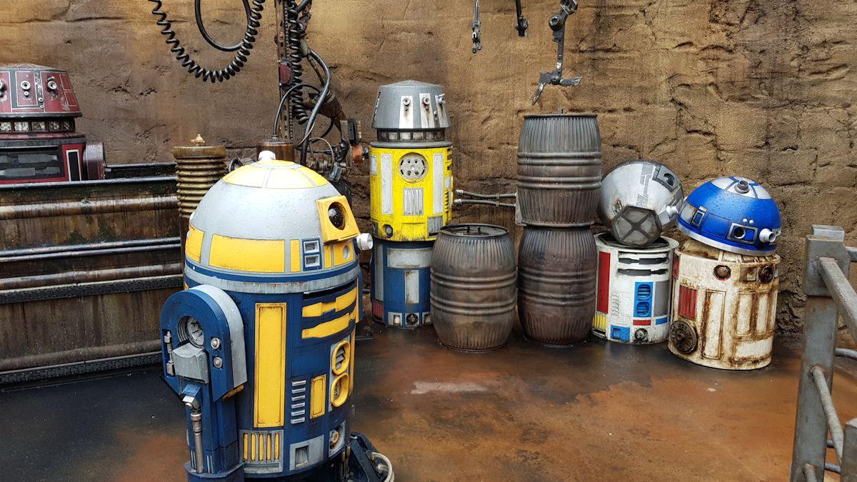 20190904_093938.jpg