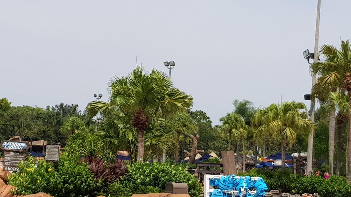 20190905_140242.jpg