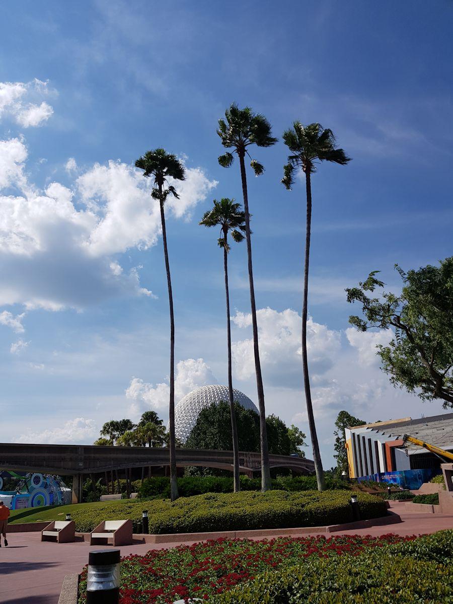 20190906_154308.jpg