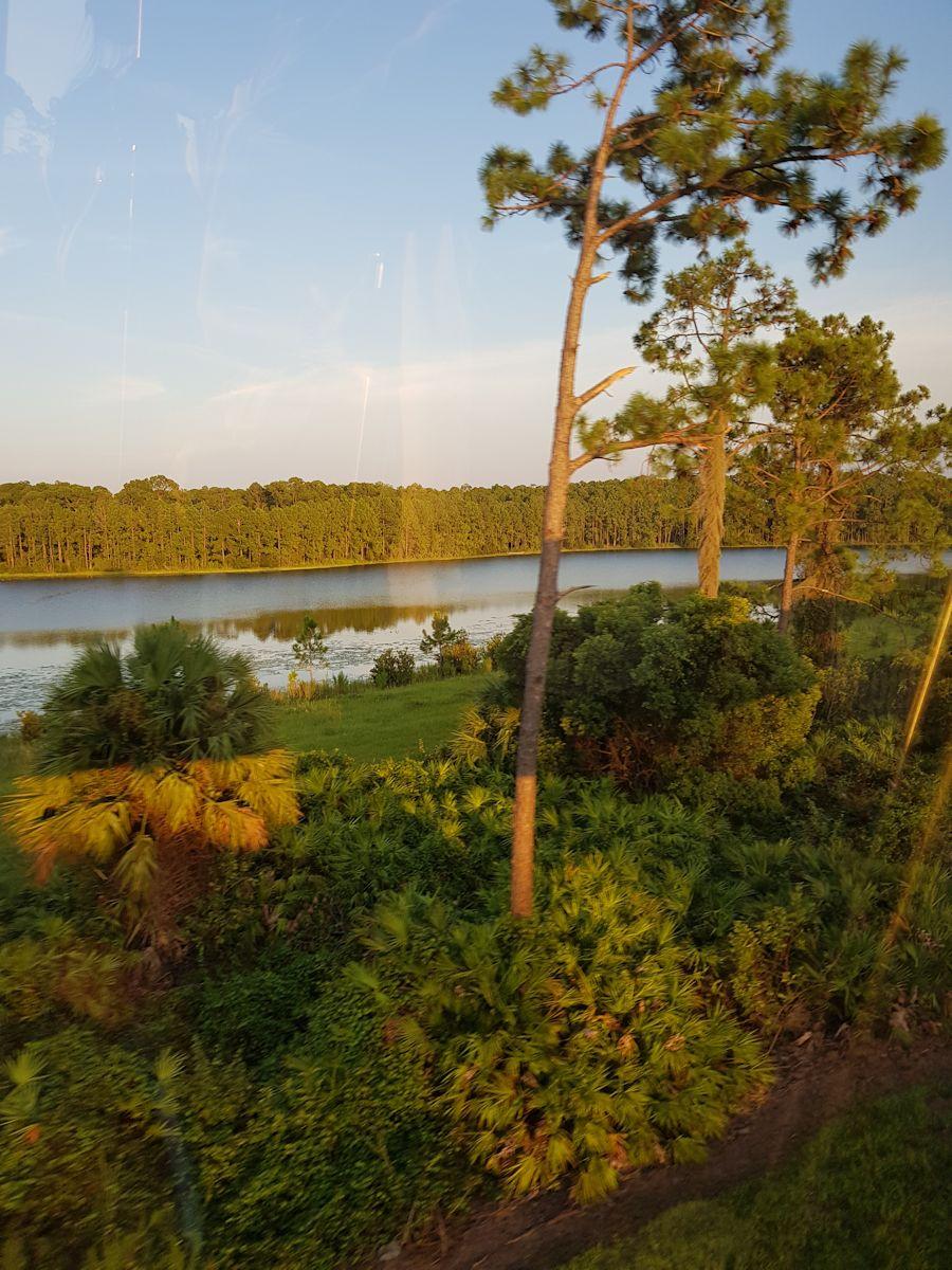 20190906_191630.jpg