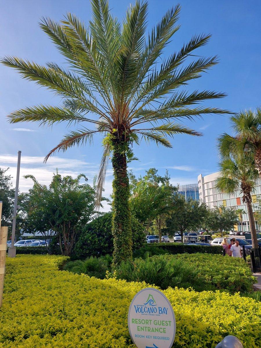 20220822_084602.jpg