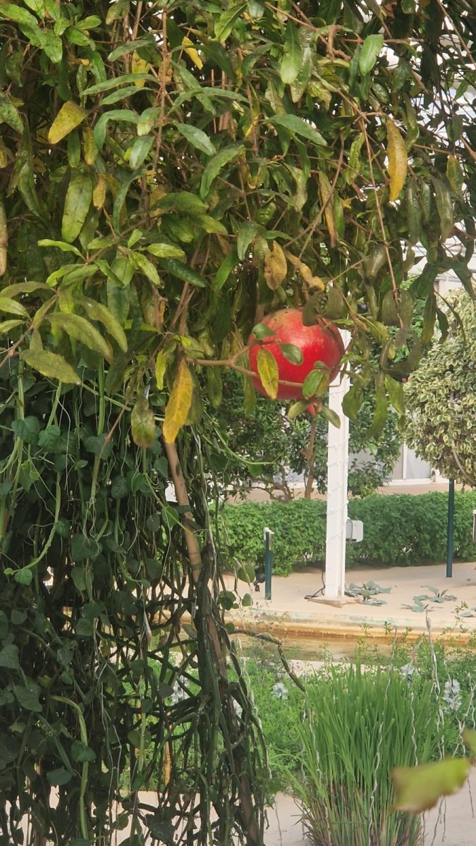 27.jpg