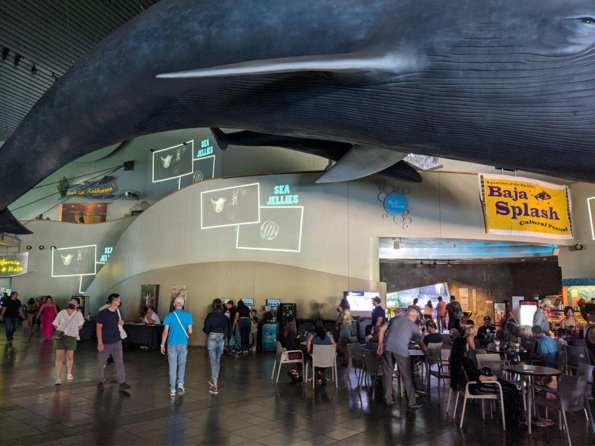 AQUARIUM_OF_THE_PACIFIC_01.jpg