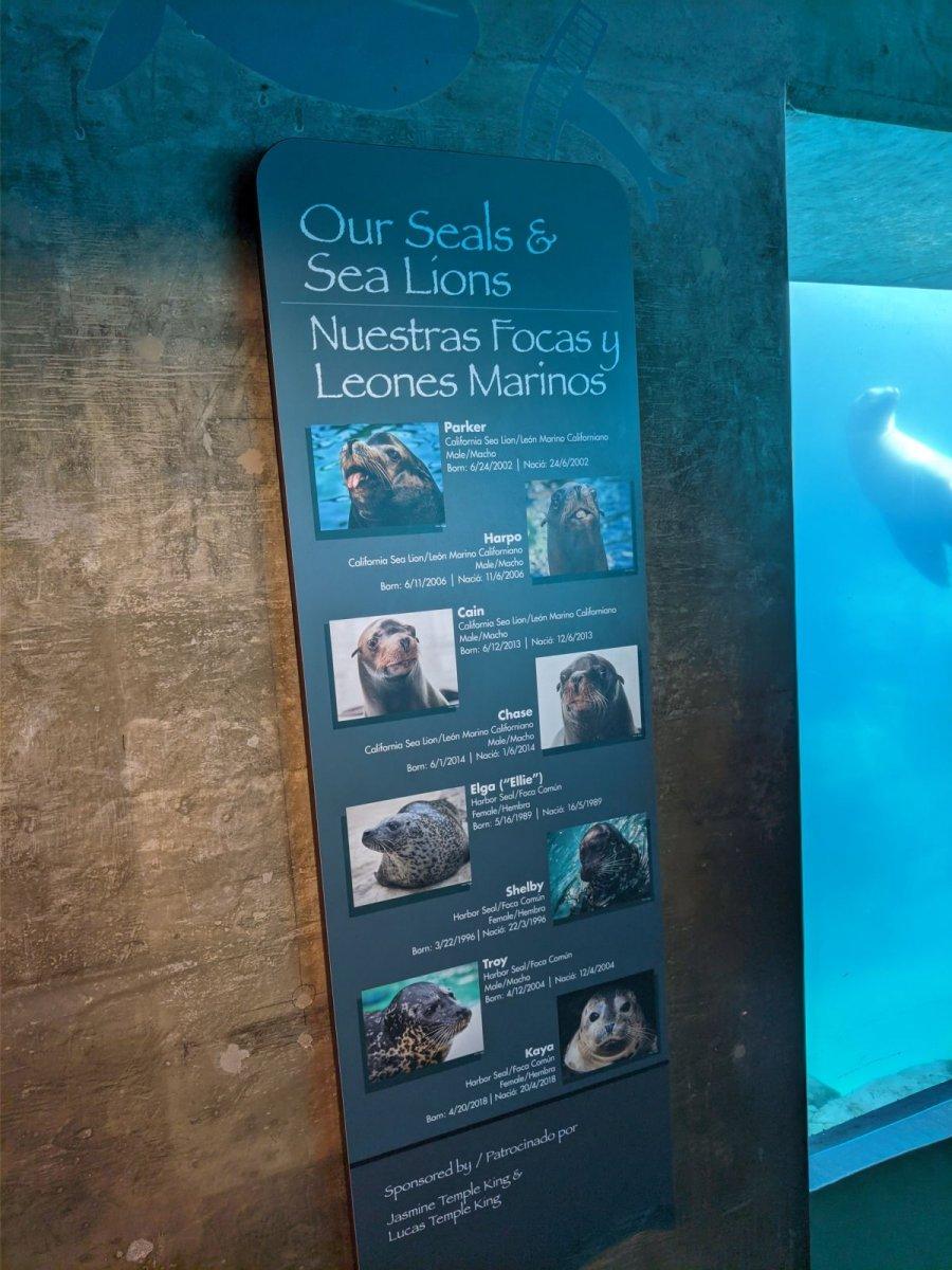 AQUARIUM_OF_THE_PACIFIC_05.jpg
