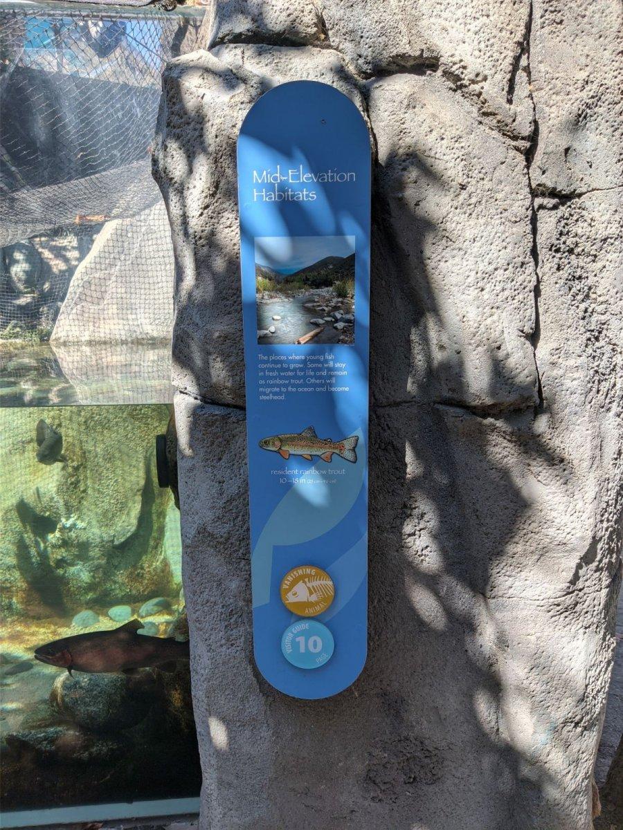 AQUARIUM_OF_THE_PACIFIC_11.jpg