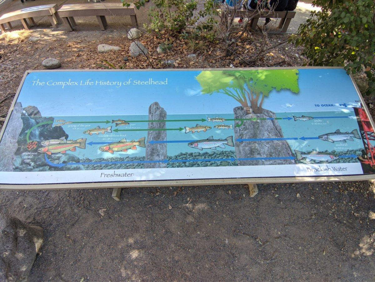 AQUARIUM_OF_THE_PACIFIC_12.jpg