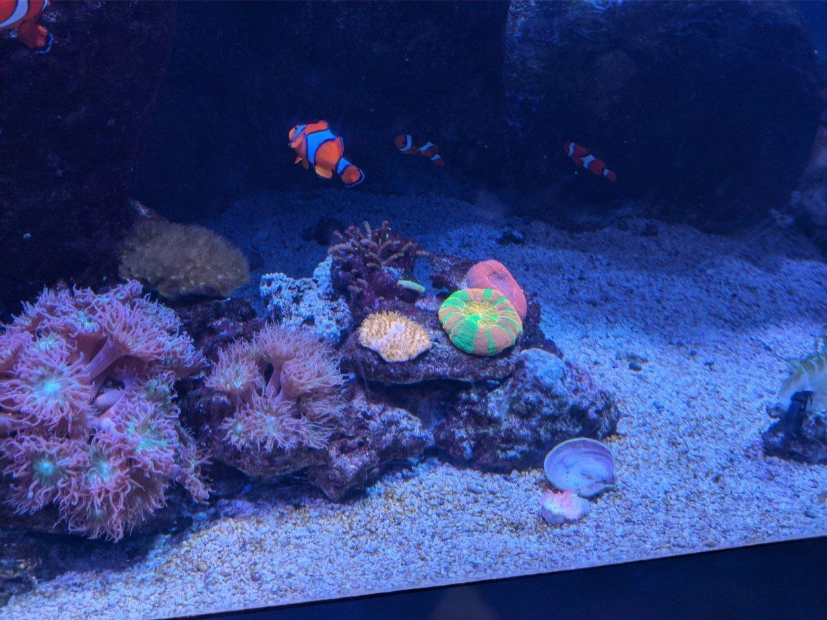 AQUARIUM_OF_THE_PACIFIC_24.jpg