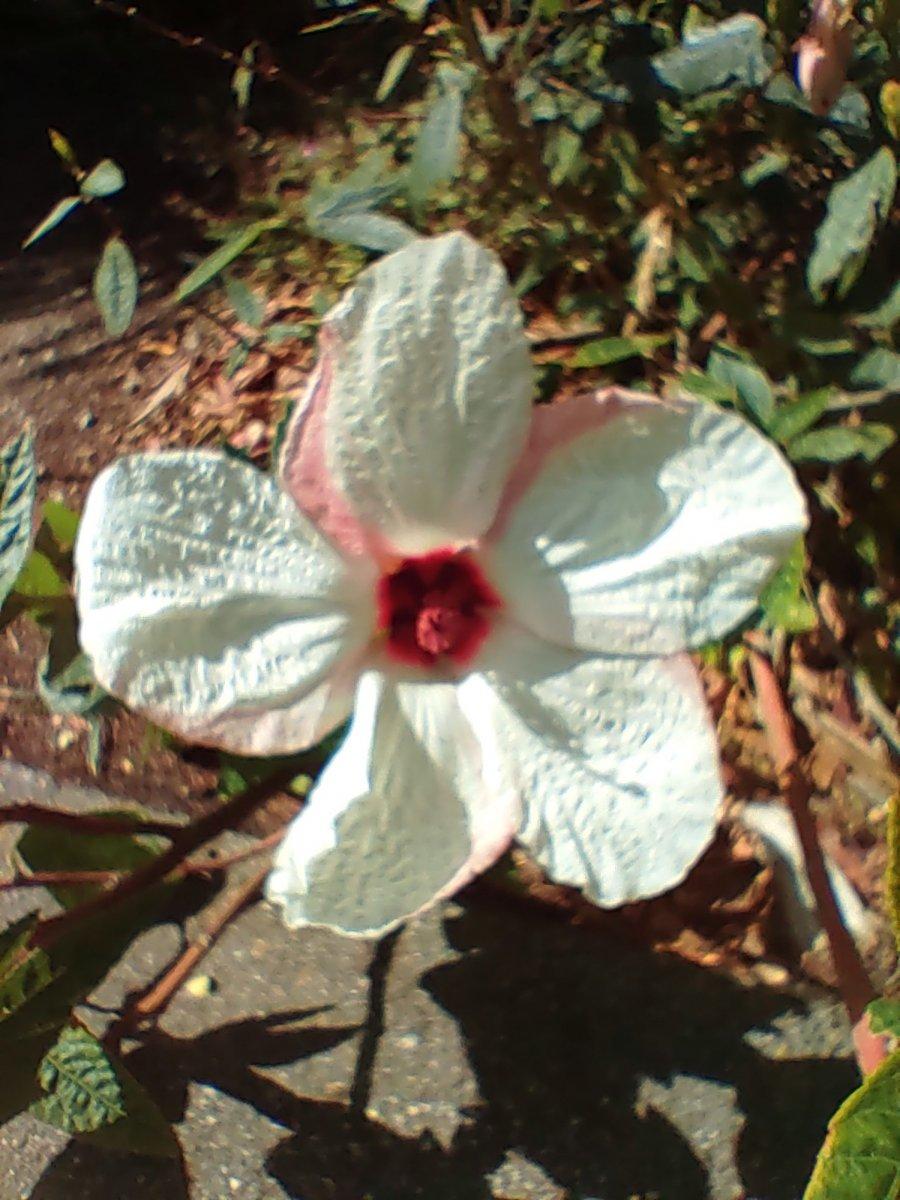 Botanischer_Garten_01.jpg