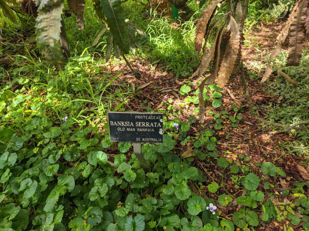 Botanischer_Garten_02.jpg