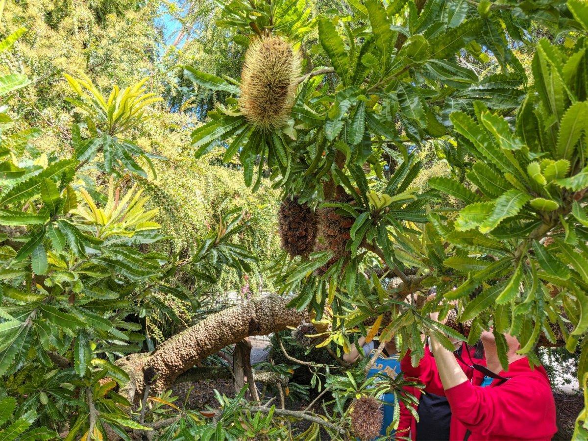 Botanischer_Garten_03.jpg