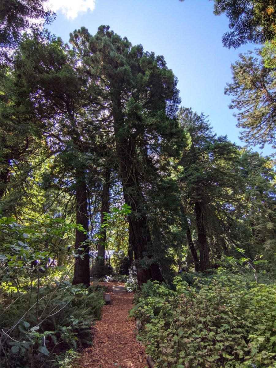 Botanischer_Garten_07.jpg