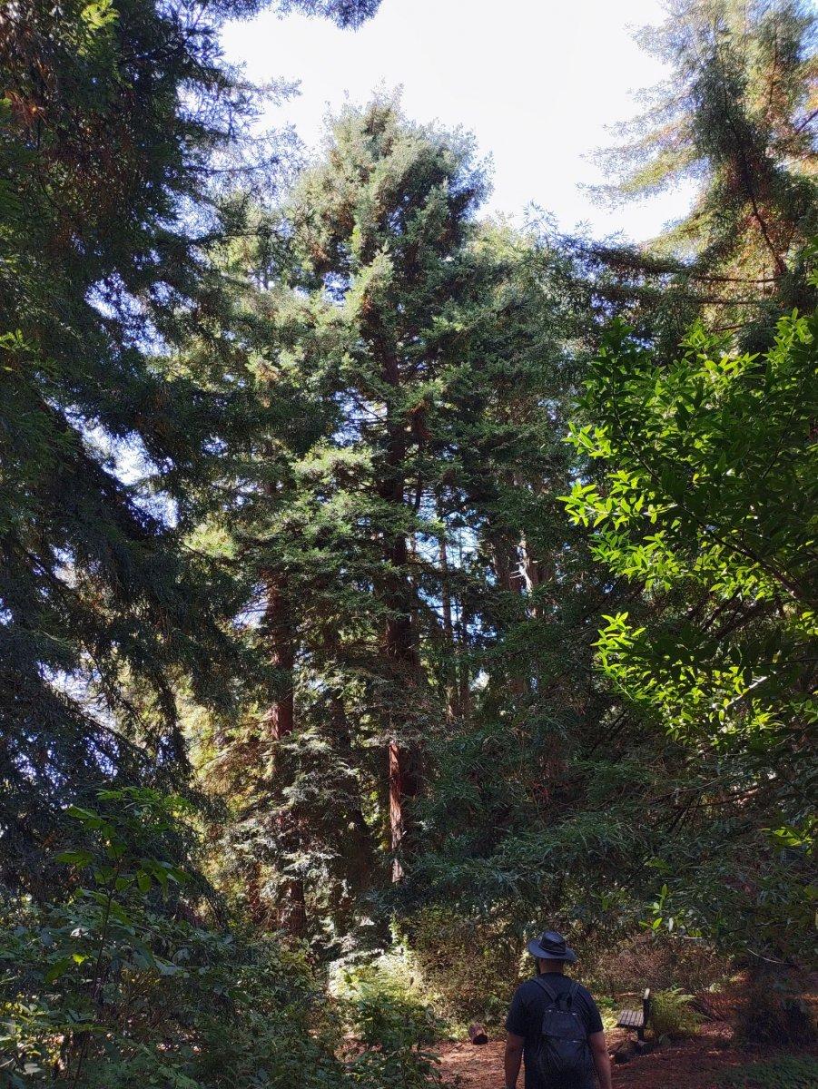 Botanischer_Garten_09.jpg