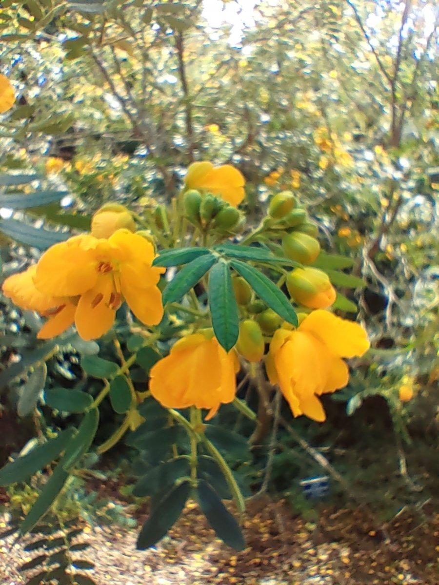 Botanischer_Garten_13.jpg