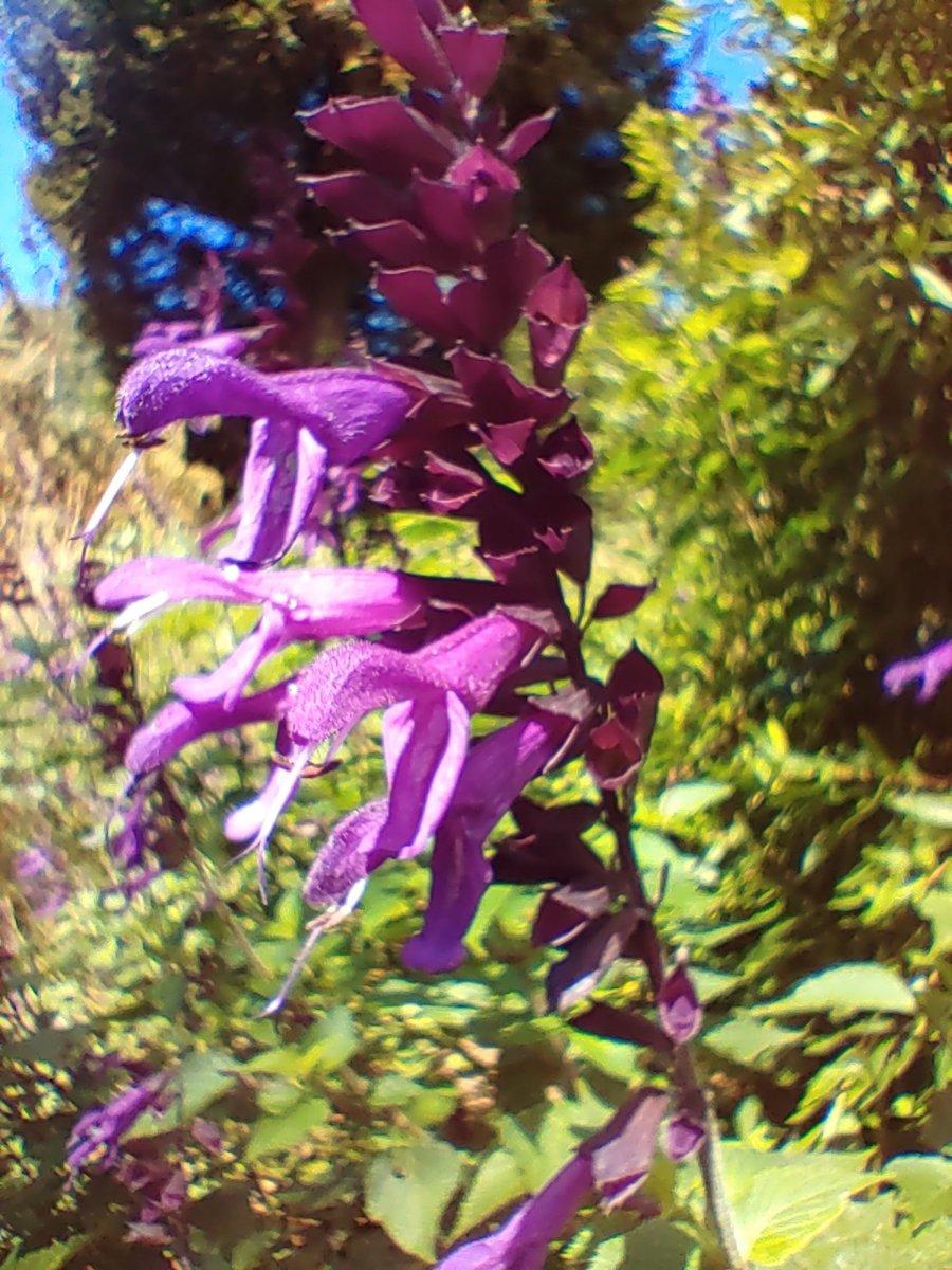 Botanischer_Garten_14.jpg