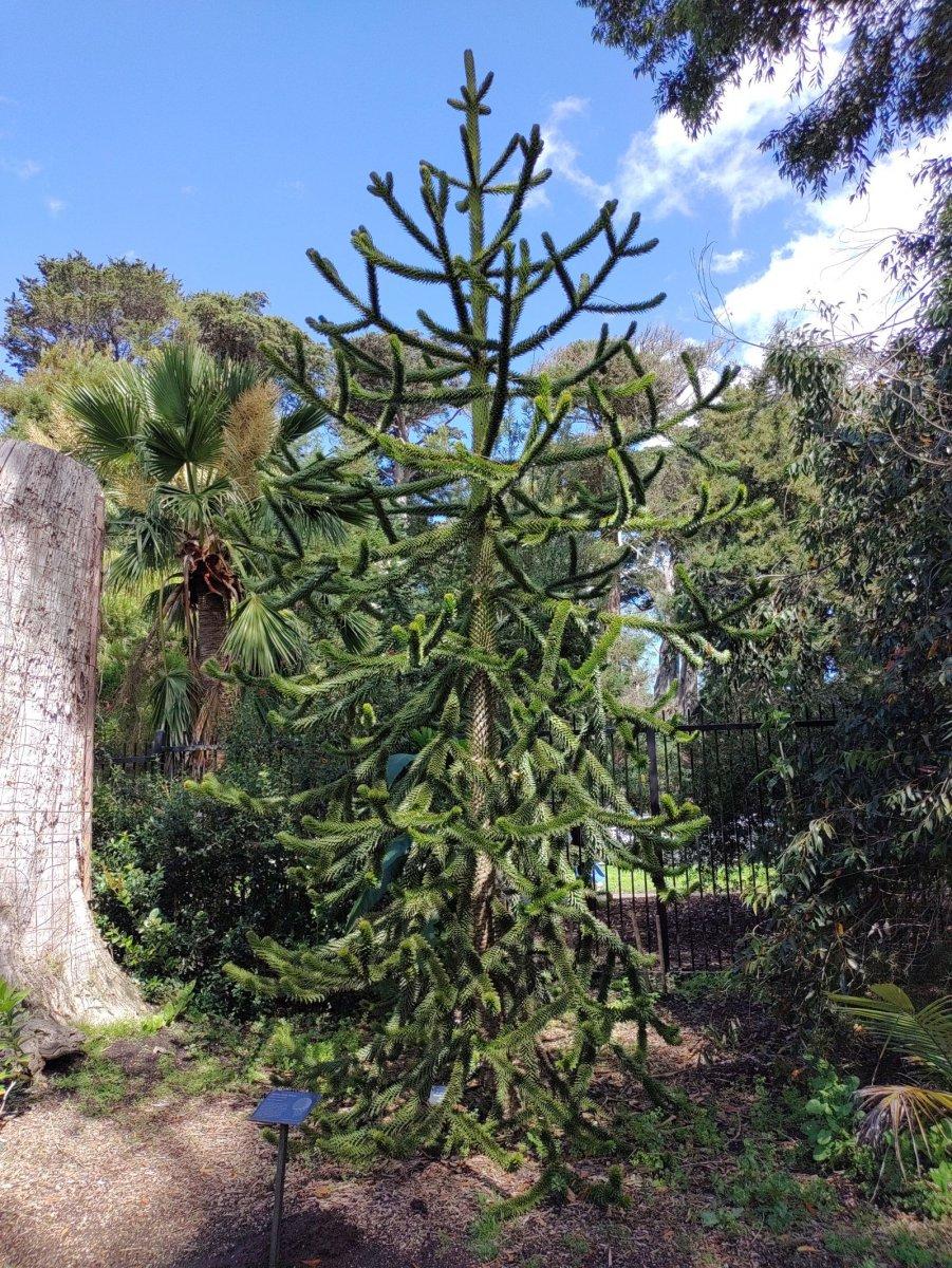 Botanischer_Garten_15.jpg