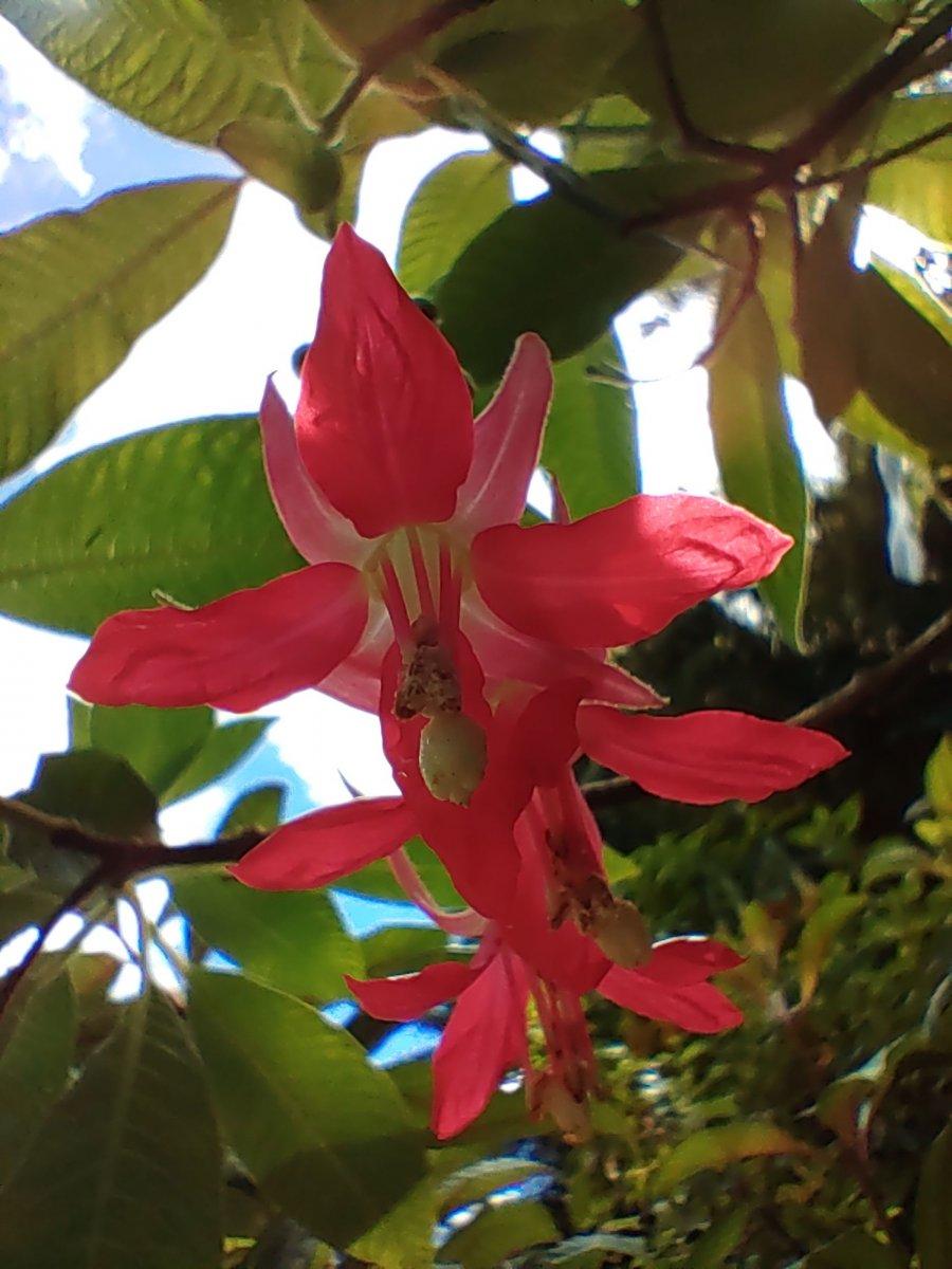 Botanischer_Garten_17.jpg