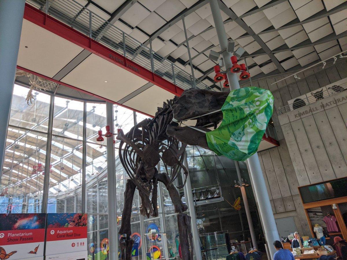 California_Academy_of_Science_sensible_T-Rex.jpg