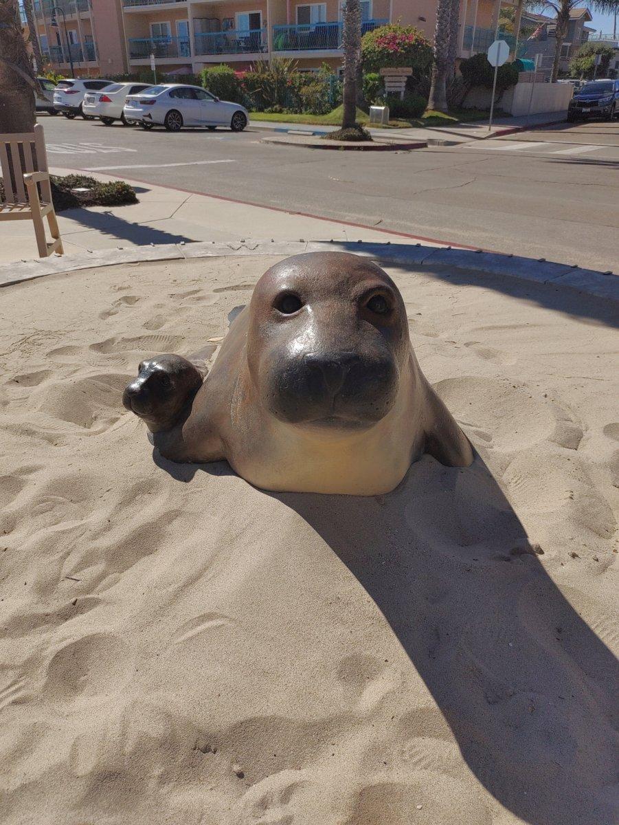 Carpintera_Seal_Harbor_02.jpg
