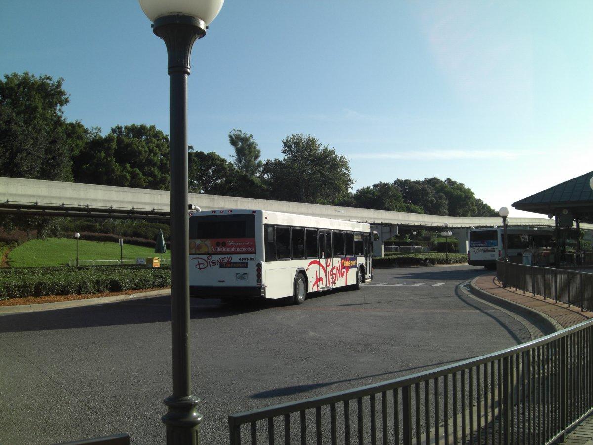 CIMG9649.JPG