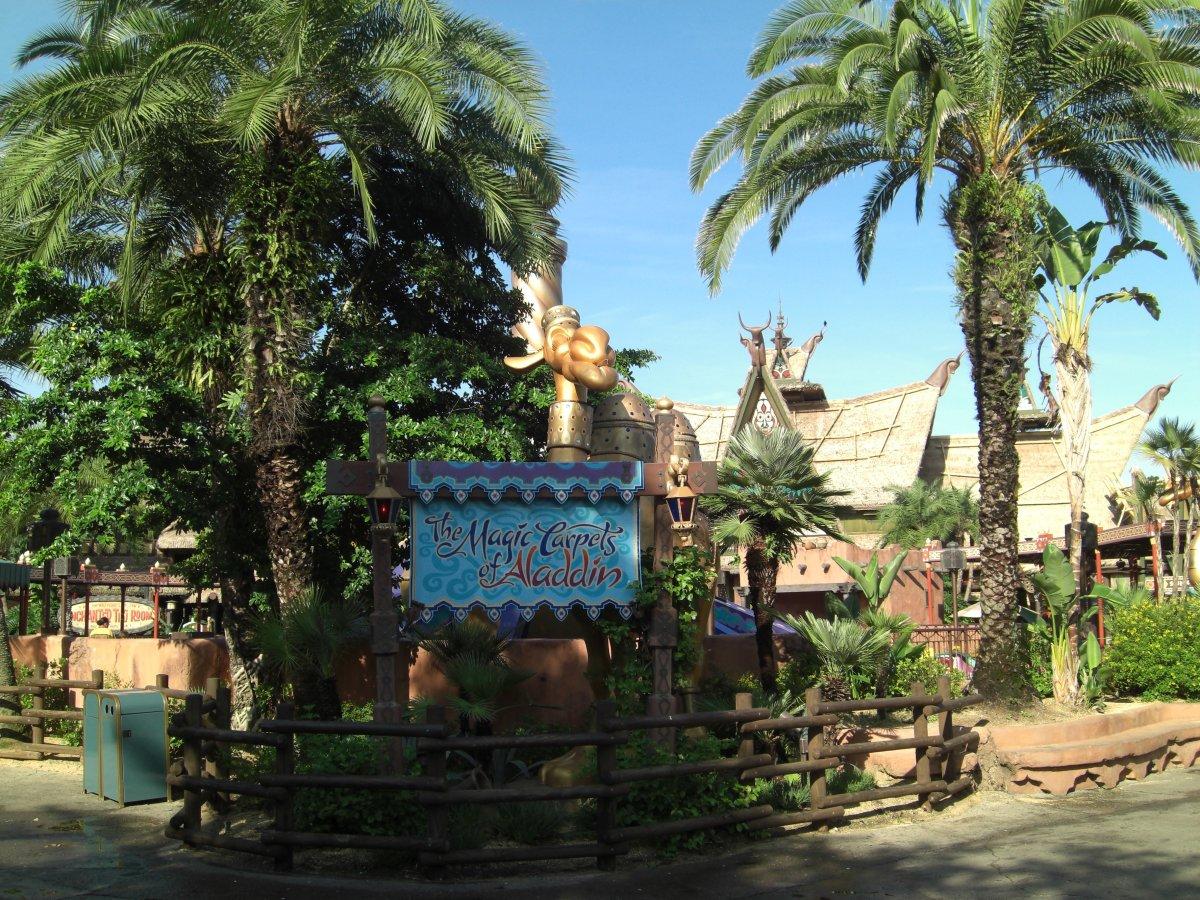 CIMG9680.JPG