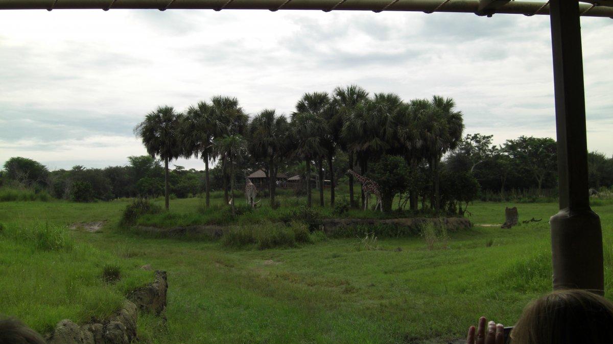 CIMG9929.JPG