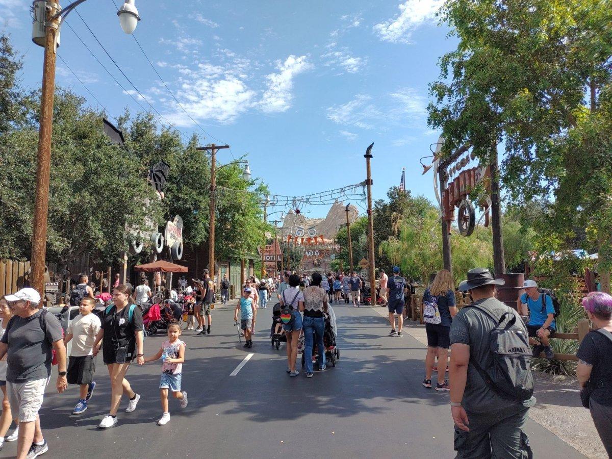 DCA_CARSLAND_03.jpg