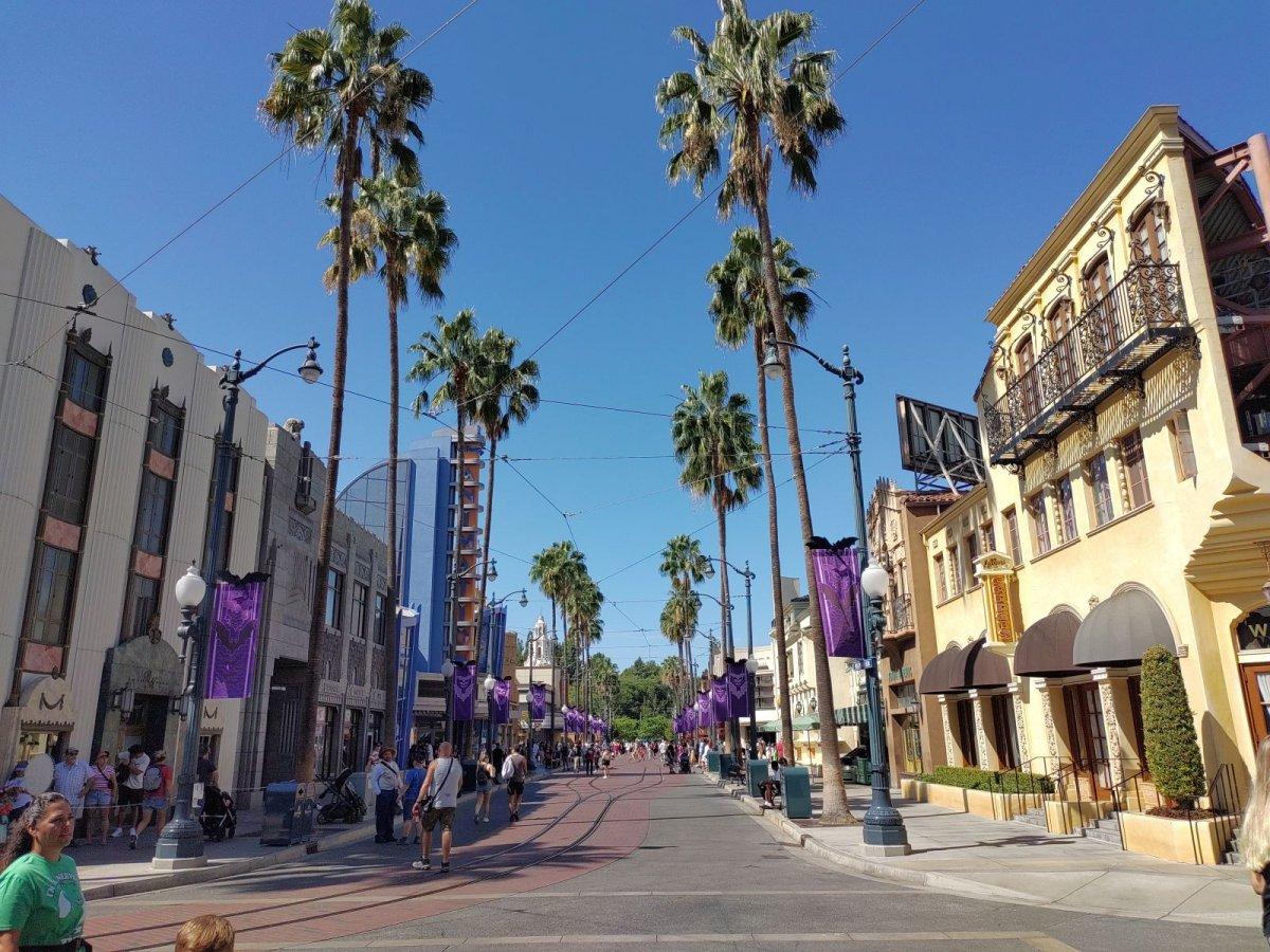 DCA_HOLLYWOODLAND_BOULEVARD.jpg