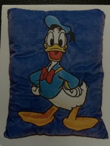 Donald, USA