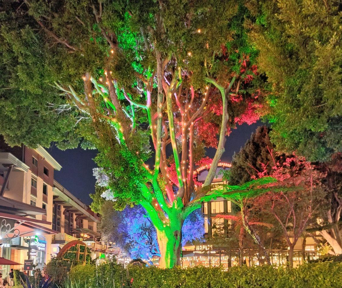 DOWNTOWN_DISNEY_SPARKLING_TREE.jpg
