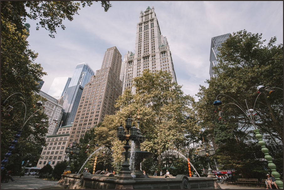 IMG 0179