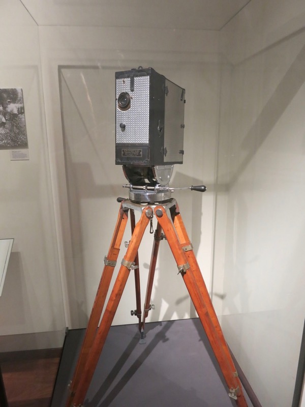 IMG 0961