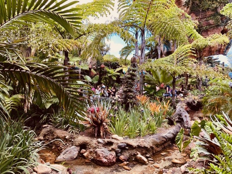 IMG 7162