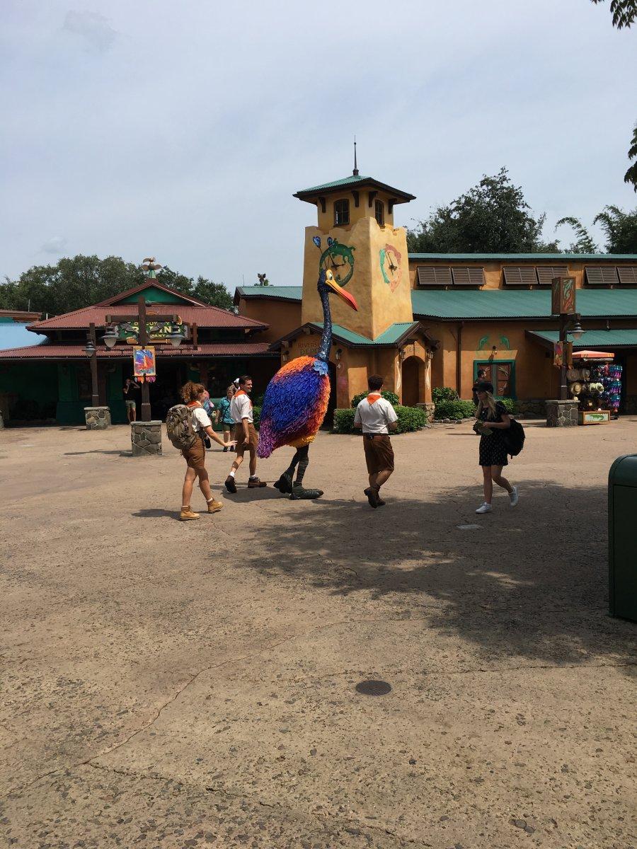 IMG_5049[1].JPG