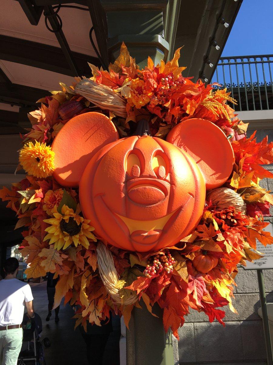 IMG_5322[1].JPG