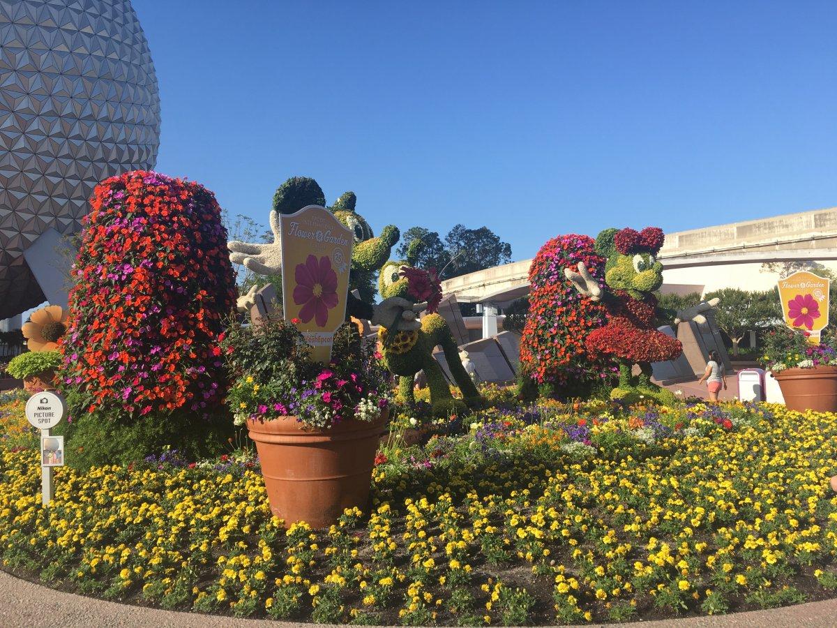 IMG_8927.JPG