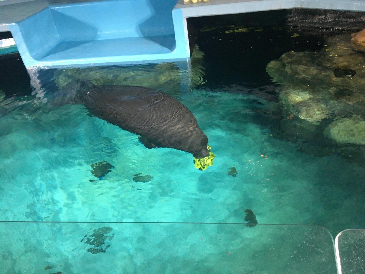IMG_8939.JPG